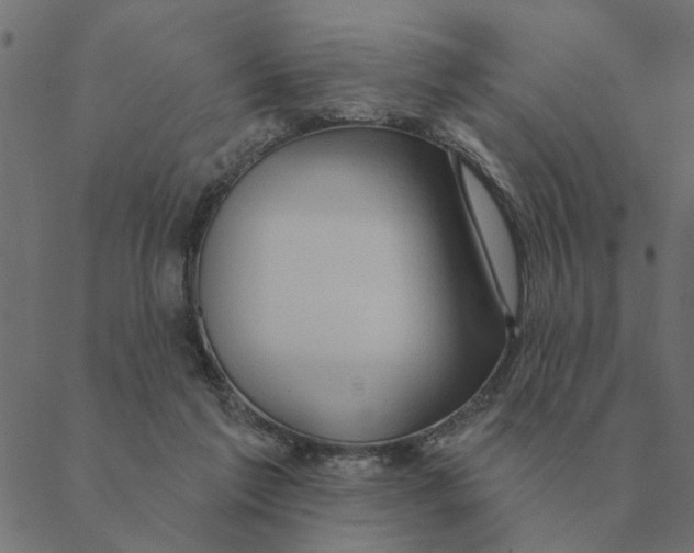 X0000088410213200706191430