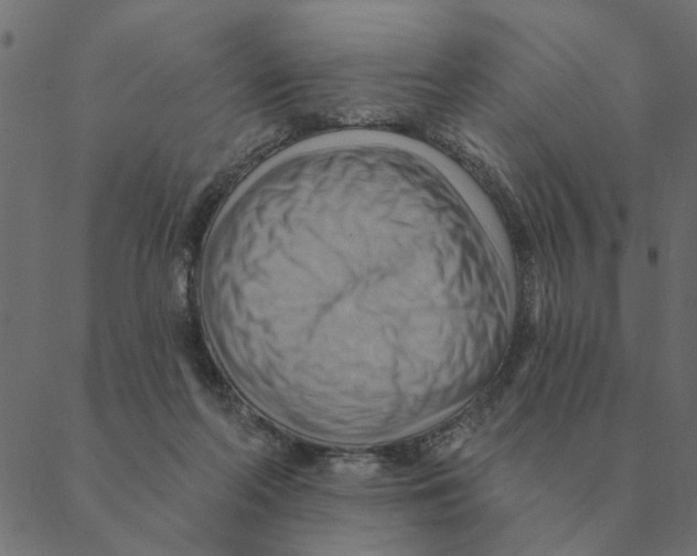 X0000088410214200706191430