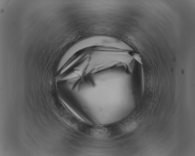 X0000088410215200706191430