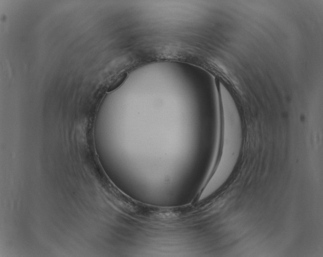 X0000088410217200706191430