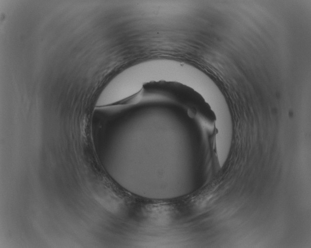 X0000088410219200706191430