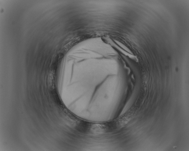 X0000088410222200706191430