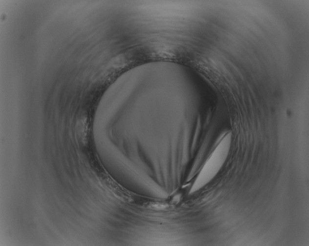 X0000088410223200706191430