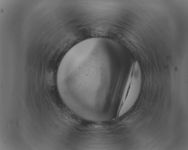 X0000088410224200706191430