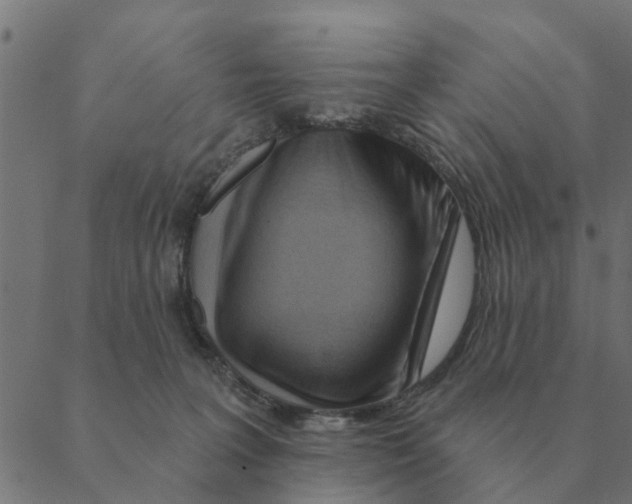 X0000088410227200706191430