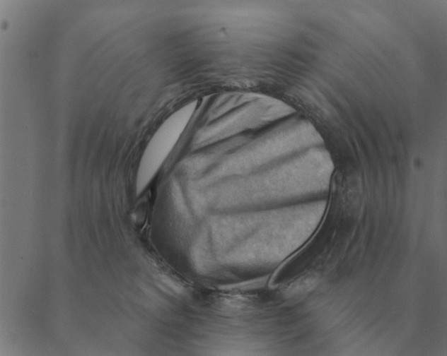 X0000088410229200706191430