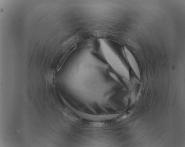 X0000088410233200706191430