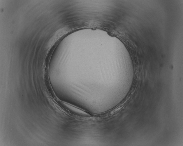 X0000088410242200706191429