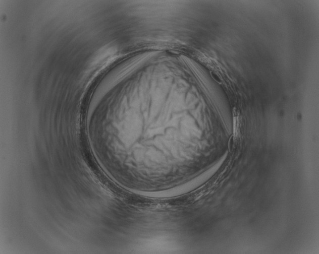X0000088410243200706191429