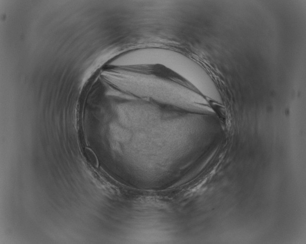 X0000088410244200706191429