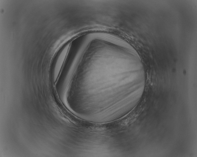 X0000088410247200706191429