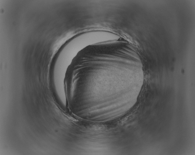 X0000088410248200706191429