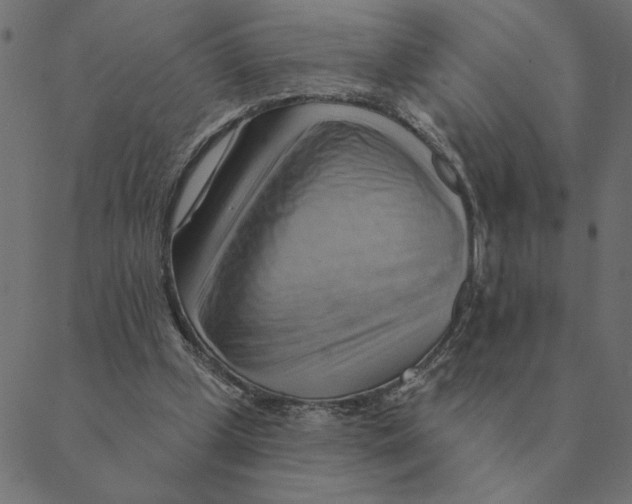 X0000088410249200706191429