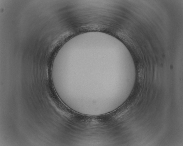 X0000088410254200706191429