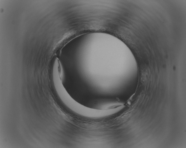 X0000088410256200706191429