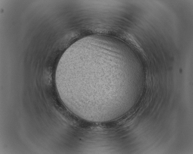 X0000088410259200706191429