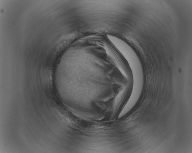 X0000088410260200706191429