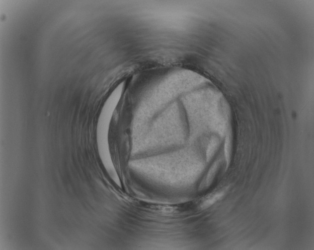X0000088410288200706191430