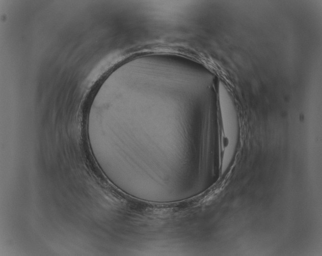 X0000088410295200706191429