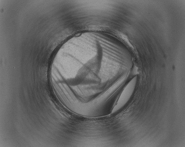 X0000088410299200706191429
