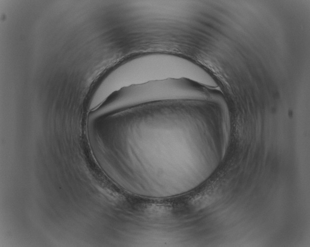 X0000088410303200706191429