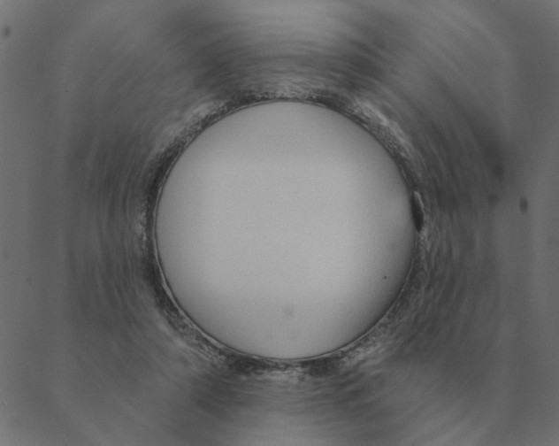 X0000088410306200706191429