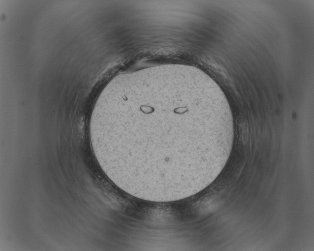 X0000088410308200706191429