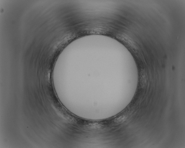 X0000088410310200706191429