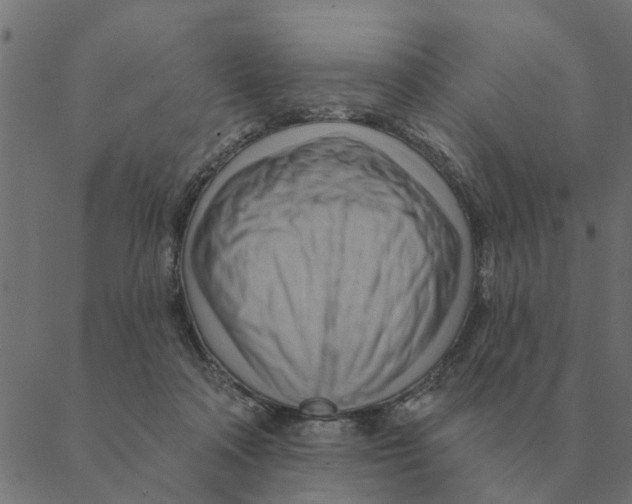 X0000088410314200706191429