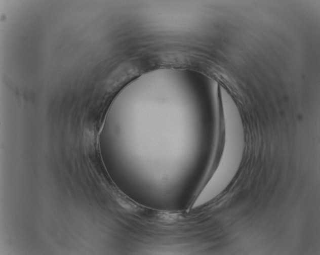 X0000088410333200706191428