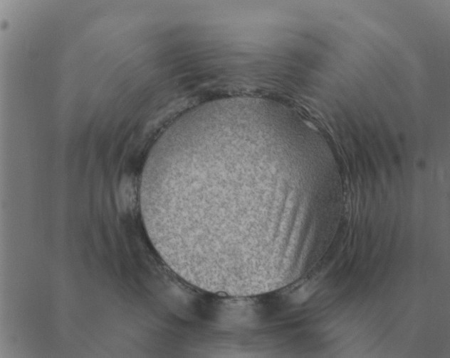 X0000088410335200706191428