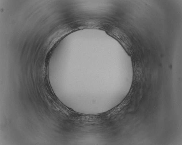 X0000088410338200706191428
