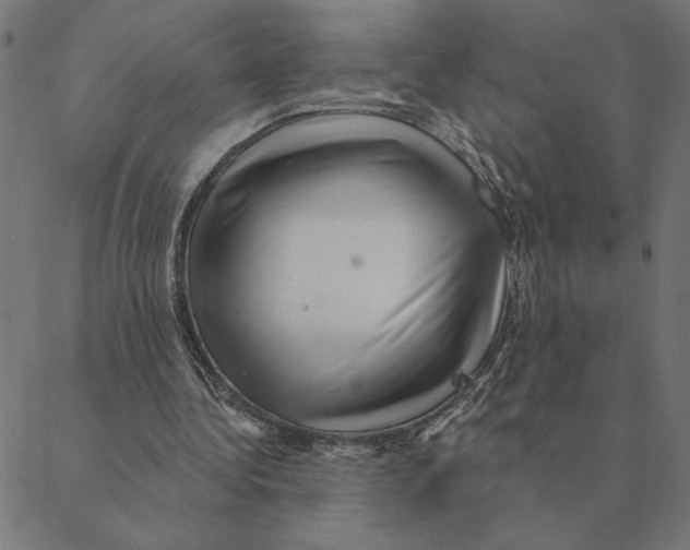 X0000088410340200706191428
