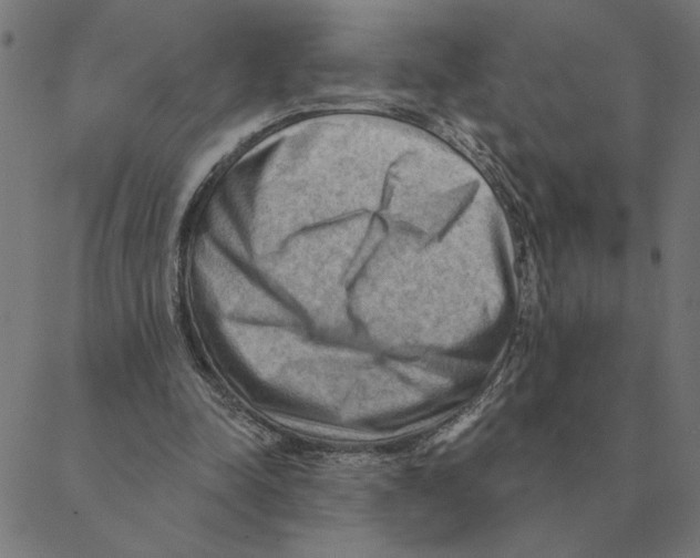 X0000088410342200706191428
