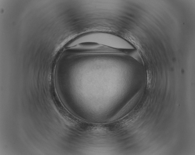X0000088410348200706191428