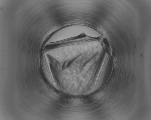 X0000088410349200706191428