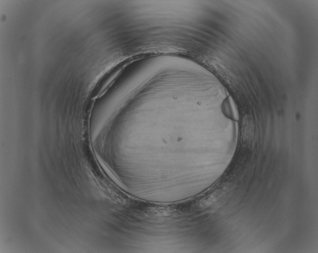 X0000088410351200706191428
