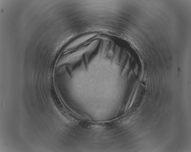 X0000088410352200706191428