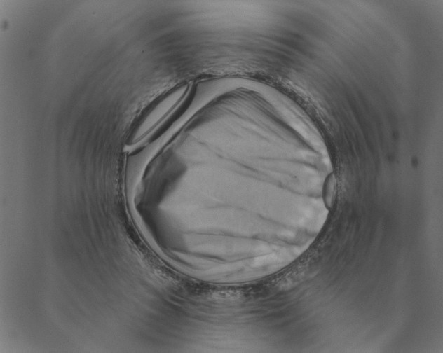 X0000088410353200706191428