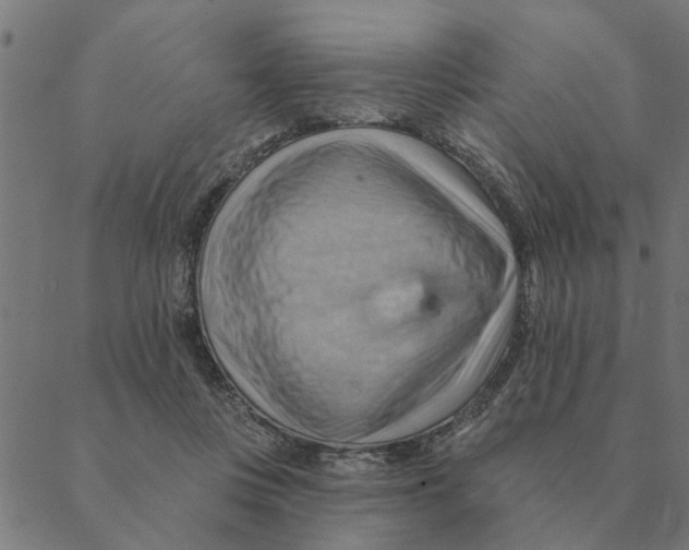 X0000088410359200706191428