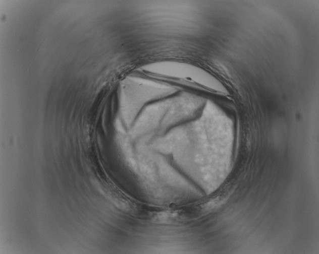 X0000088410366200706191428