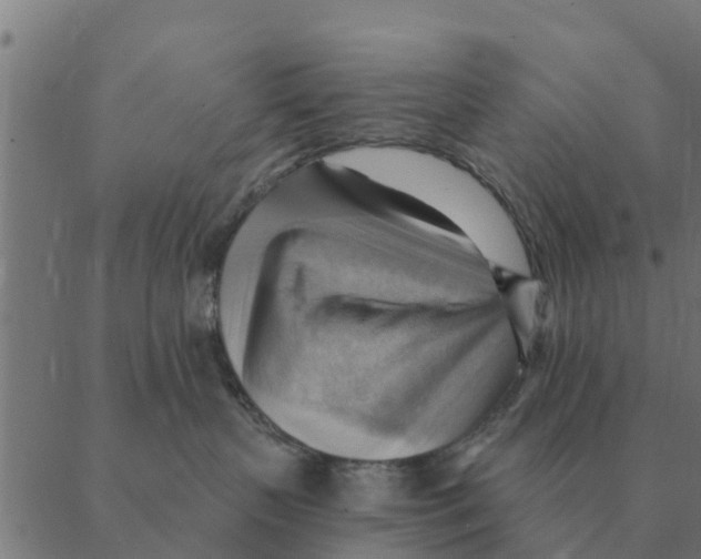 X0000088410383200706191428