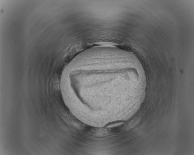 X0000088410384200706191428