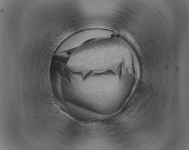 X0000088410385200706191428