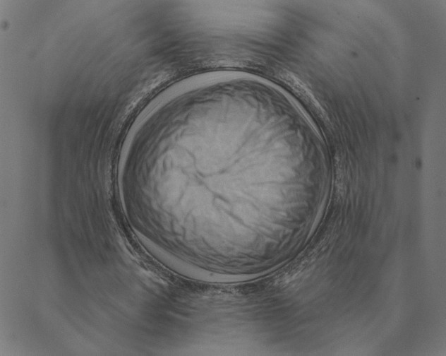 X0000088410386200706191428