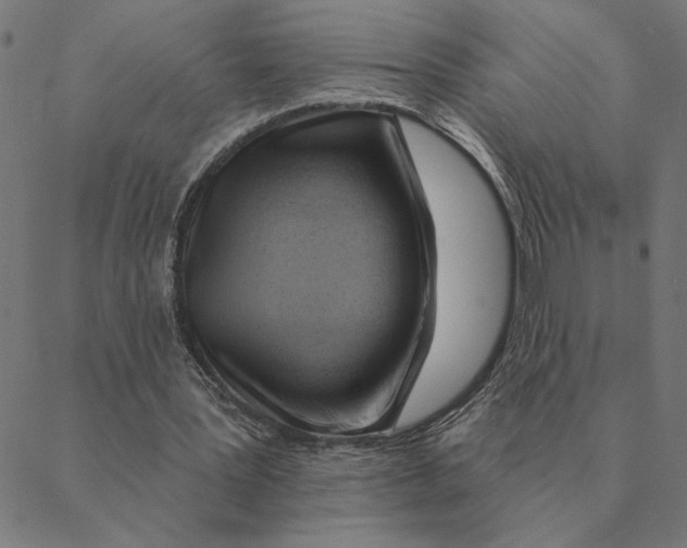 X0000088410387200706191428