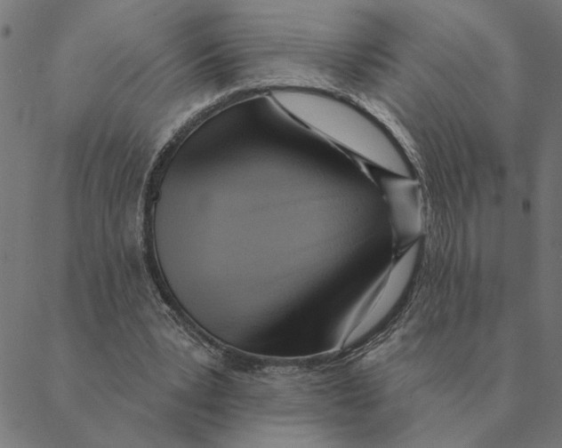 X0000088410391200706191427