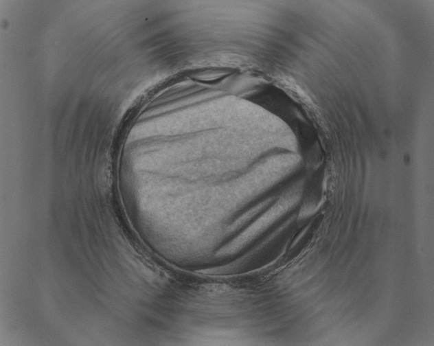X0000088410392200706191427