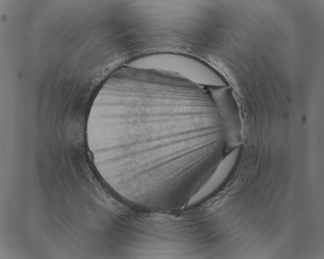 X0000088410393200706191427