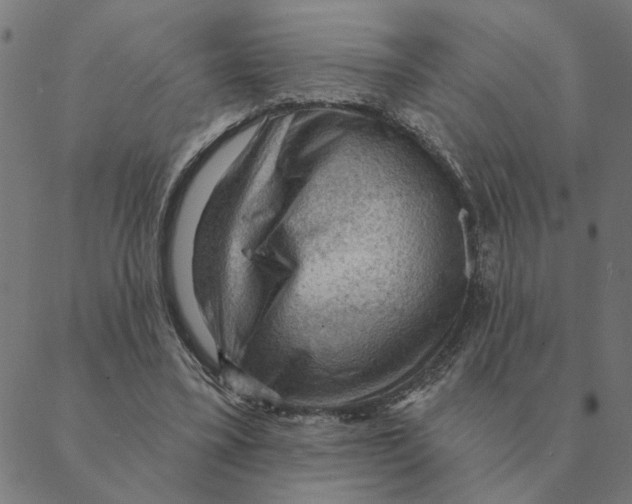 X0000088410395200706191427